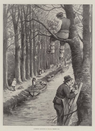Gathering Mistletoe in France, Present Day by Paul Frenzeny